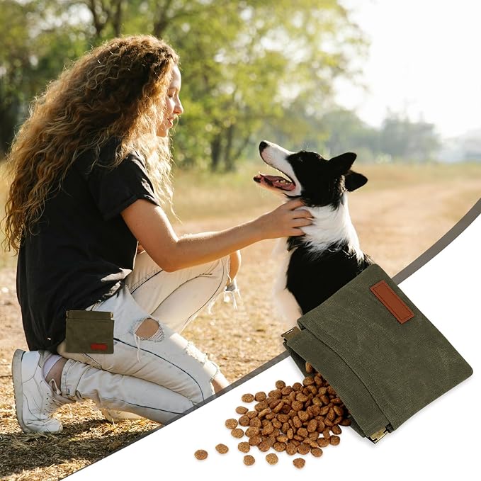 1 Pcs Pocket Pet Training Pouch,Dog Treat Pouch for Portable Pet Dog Walking Bag for Travel or Outdoor Use (Olive drab)
