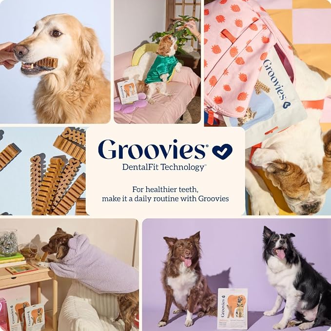 Groovies Gentle & Flexible Senior Dog Dental Chews, Contact-Cleaning Design Supporting Tartar Control & Fresh Breath, Oral Care Treats, USA Manufactured, Patented DentalFit Tech, XLarge Dogs, 4 Chews
