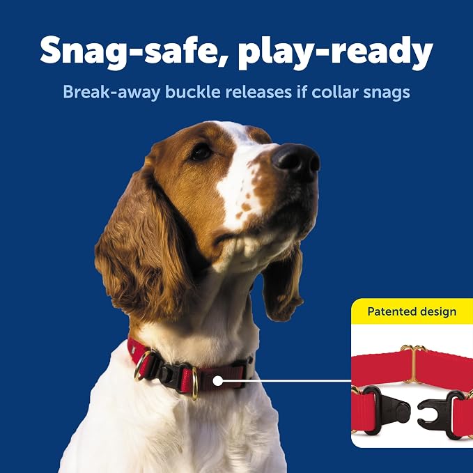 PetSafe KeepSafe Break-Away Collar 3/4 in Wide, Medium, Black Prevent Collar Accidents for Your Dog or Puppy Improve Safety, Compatible with Leash Use, Adjustable Sizes