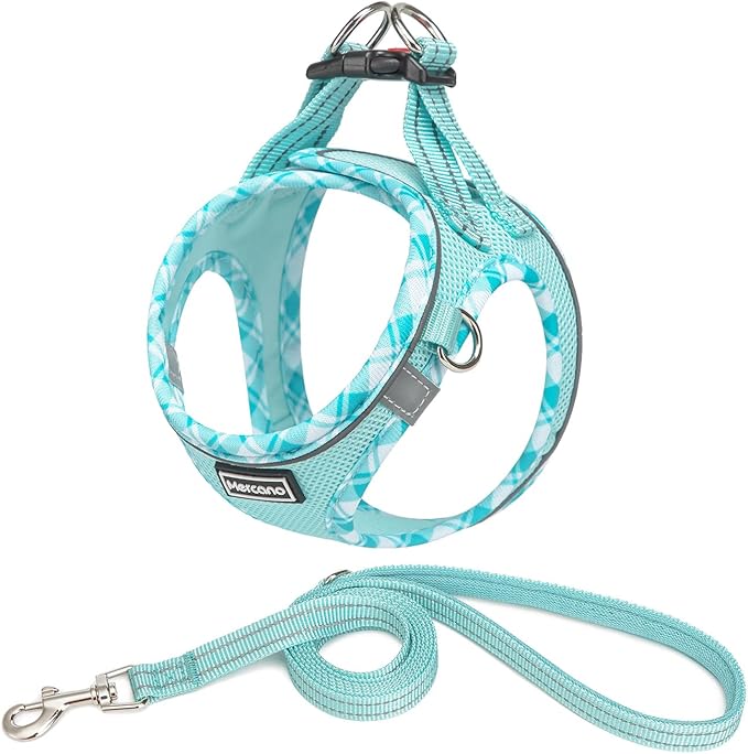 Mercano Soft Mesh Dog Harness and Leash Set, Step-in Reflective Breathable Lightweight Vest Harnesses with Safety Buckle for Small Dogs, Cats (Light Blue, XL)