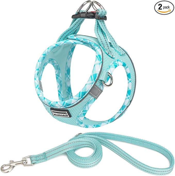 Mercano Soft Mesh Dog Harness and Leash Set, Step-in Reflective Breathable Lightweight Vest Harnesses with Safety Buckle for Small Dogs, Cats (Light Blue, XXS)
