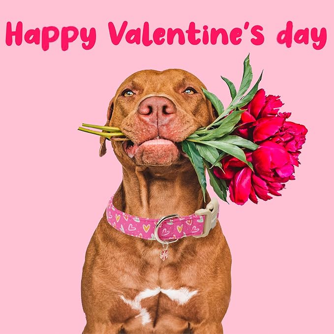 Faygarsle Valentine's Day Dog Collar, Pink Heart Pattern with Metal D-Ring and Heart Charm, Adjustable Pet Collar for Small Medium Large Dogs S