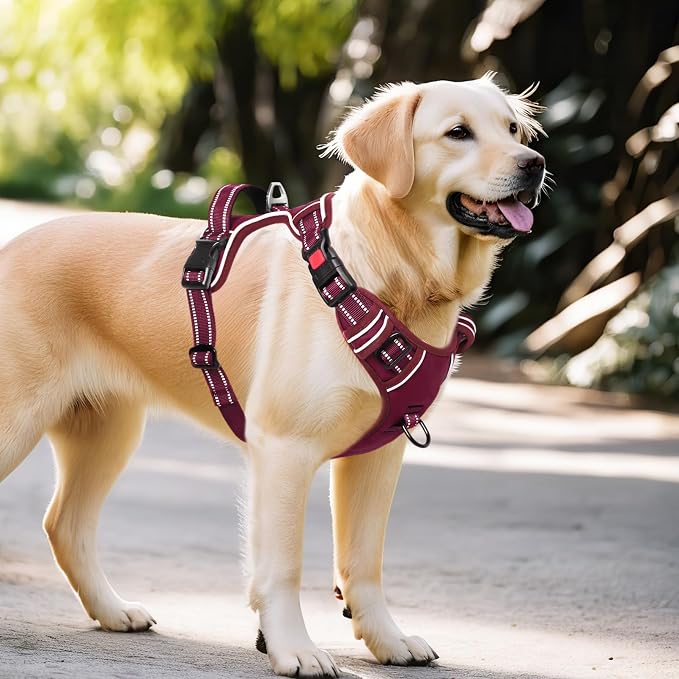 Timos Dog Harness Large Sized, No Pull Pet Harness with Neck Lockable Snap, No Choke Front Clip Reflective Vest, Adjustable Metal Rings 3 Buckles, Easy Control Handle for Large Dogs Burgundy L
