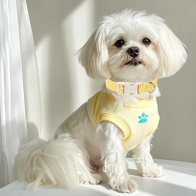 Yellow Daisy Dog Collar Cute Summer Dog Collars for Large Dogs - Lightweight Adjustable Girly Floral Female Dogs Everyday Collar with Safety Buckle L