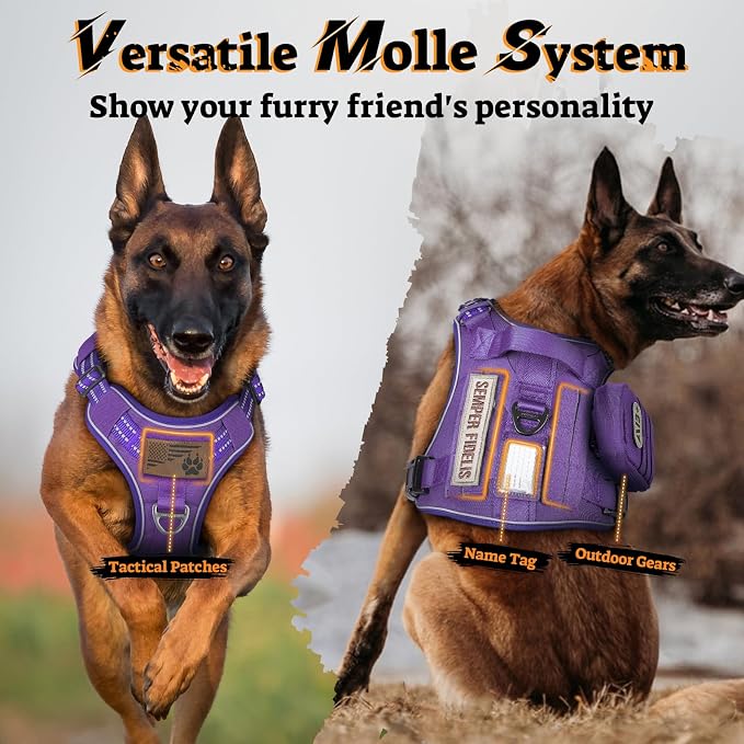 rabbitgoo Tactical Dog Harness for Large Dogs No Pull Adjustable Military Vest with Handle MOLLE Reflective Heavy Duty Dog Vest for Walking Training Hunting Outdoor Working Medium Size Dog Purple M