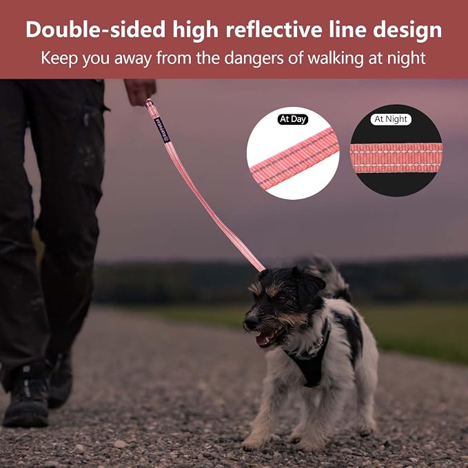 Reflective 6 FT Dog Leash, Premium Traditional Style Puppy Leash with Easy to Use Collar Hook for Small, Medium, and Large Breed Puppies (Pink, 3/4 in x 6 ft)