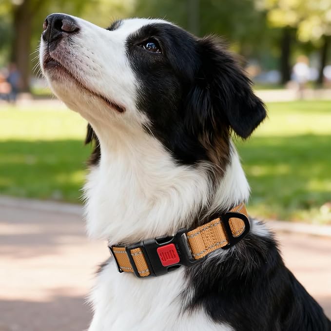 Taglory Reflective Dog Collar for Medium Dogs, Soft Neoprene Padded with Escape-Proof Locking Buckle, Upgraded Zinc Alloy Ring, Adjustable for Walking Female Male, Tan,M