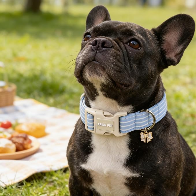 ARING PET Stripe Dog Collar, Cute Spring Summer Blue Stripe Pet Collars with Bow Charm for Puppy Small Medium Large Boy Girl Dogs-XS, for Daily Outdoor Walking Training