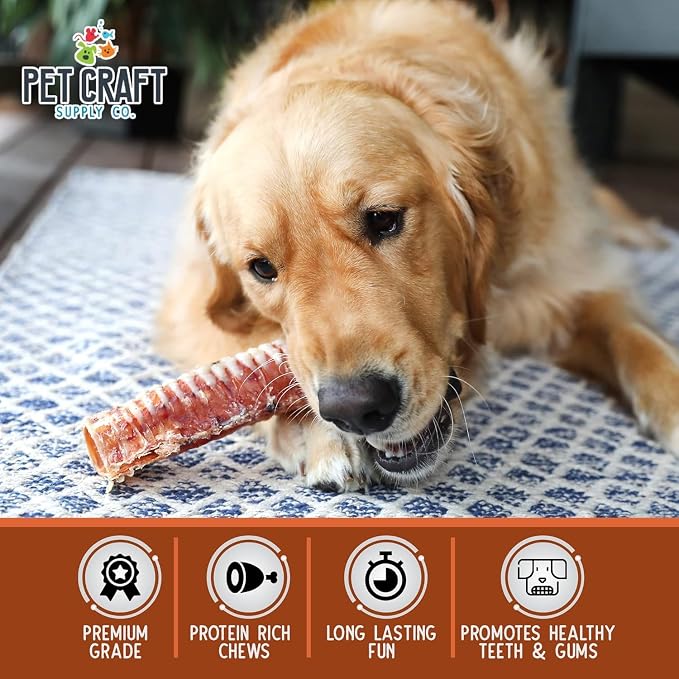 Pet Craft Supply Large 6" Buffalo Trachea Bones Dog Chews Treats 6 Pack for Aggressive Chewers Long Lasting Rawhide Free Premium Slow Roasted for Puppies Small Medium Large Dogs