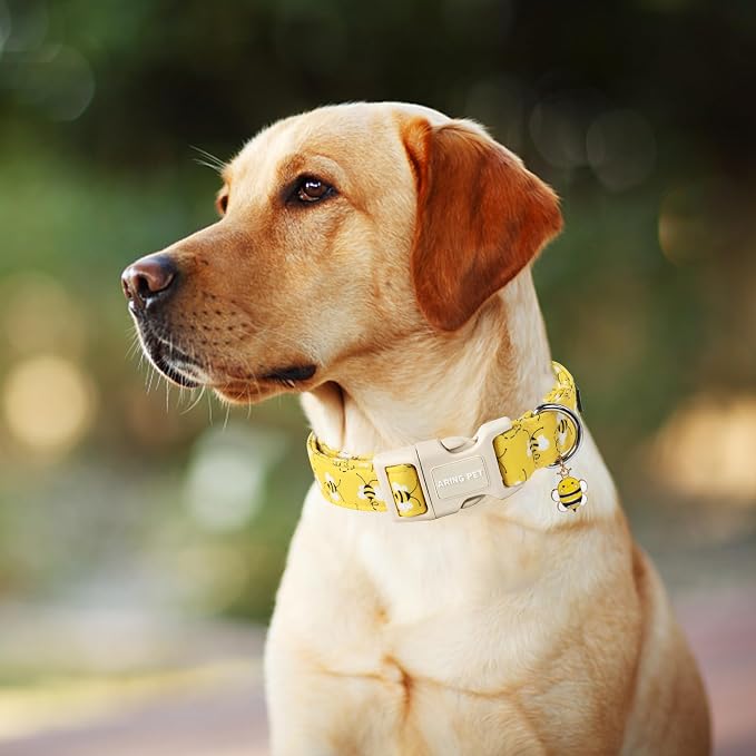 ARING PET Bees Dog Collar, Cute Spring Summer Yellow Bee Pet Collars for Puppy Small Medium Large Boy Girl Dogs-XS