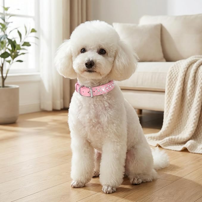 Rhinestone Dog Collar, Bling Rhinestone PU Leather Crystal Diamond Pet Dog Cat Puppy Collar Black S M L XL (XS, Pink)