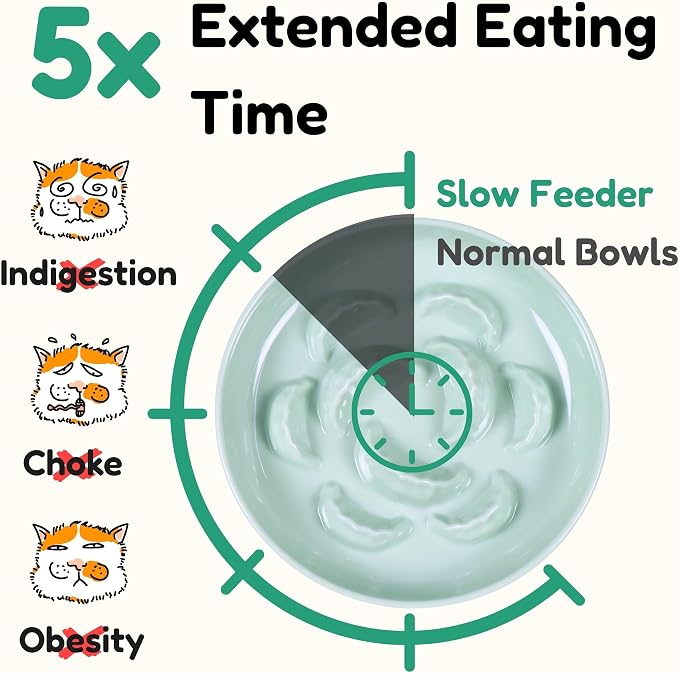 Unbreakable Slow Feeder Bowl for Cats and Small Dogs- Cat Plates for Wet & Dry Food- Melamine Puzzle Cat Bowl for Slow Eating- Whisker Friendly & Dishwasher Safe & Non Slip Design -(Green,6.3'W*1.5H')