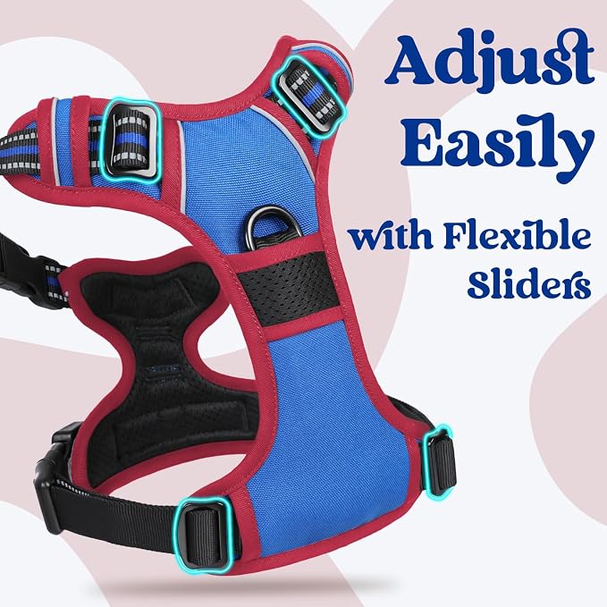 rabbitgoo Dog Harness for Large, No Pull Easy On & Off with 3 Buckles Pet Harness, Adjustable Soft Walking Vest with 2 Clips and Handle, Reflective for Large Dogs, Royal Blue & Red, L