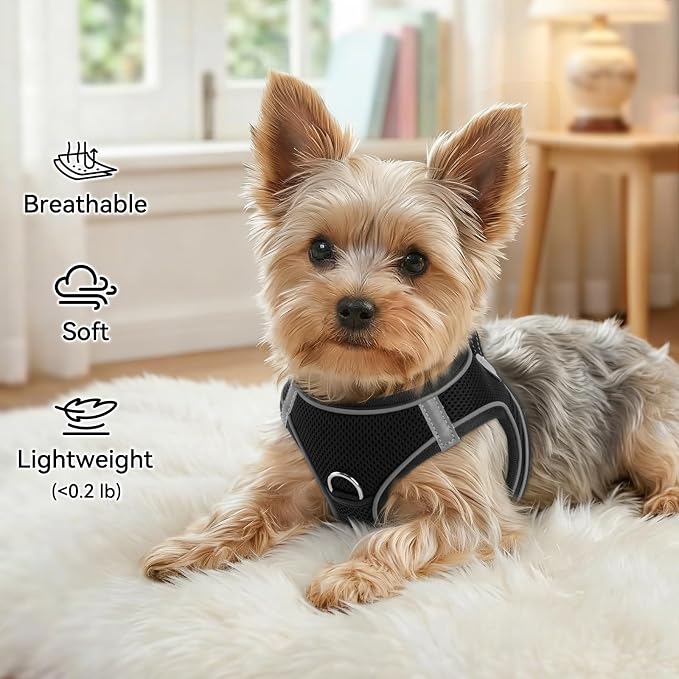 Joytale Small Dog Harness, Breathable Mesh Step-in Vest, Reflective Soft Padded Harnesses for Cats, Puppies and Extra Small Dogs, Black, XXS