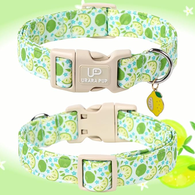 Summer Dog Collar-Refreshing Lime Pet Collars-Adjustable, Comfortable & Durable Puppy Collars for Small, Medium, Large Dogs