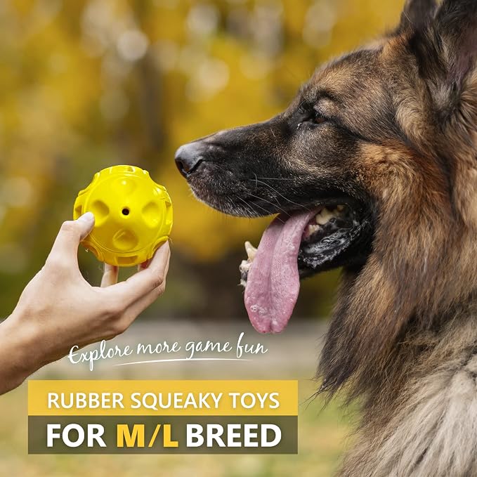 EASTBLUE Squeaky Dog Toys for Aggressive Chewers: Rubber Puppy Chew Ball with Squeaker, Almost Indestructible and Durable Pet Toy for Medium and Large Breed