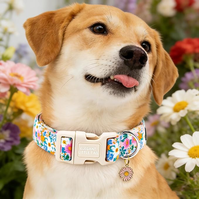 Elegant Little Tail Summer Dog Collar, Pink Daisy Floral Pattern Soft Cotton Pet Collars with Sturdy Quick Release Girl Adjustable Pet Collar for Small Medium Large Dogs