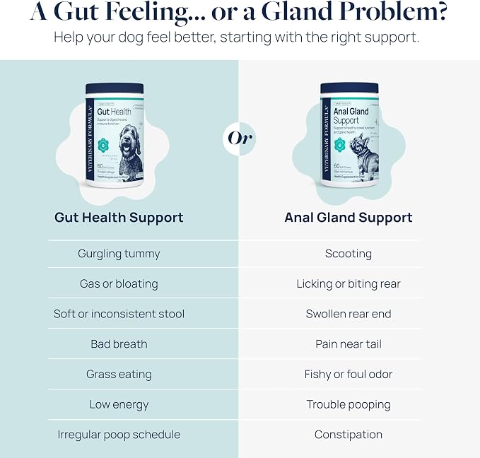 Veterinary Formula Gut Health Supplement for Dogs – Vet-Formulated Probiotic Chews with Digestive Enzymes & Fiber – Smart Vitality Support Digestive Health, Gut Balance & Stool Quality, 120 Soft Chews