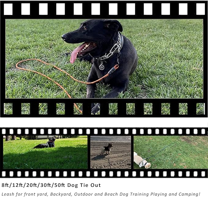 BTINESFUL Tie-Out Check Cord Long Rope Dog Tether, 8ft 12ft 20ft 30ft 50ft 75ft Recall Training Dog Lead for Yard- Large Medium Dogs Outdoor Training, Playing, Camping, or Backyard (12ft, Beige Black)