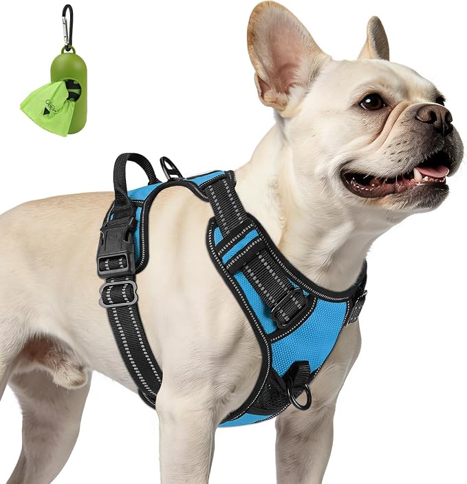 Joytale No Pull Dog Harness for Small Dogs, Reflective Pet Vest with Front Clip, Adjustable Soft Padded Harnesses with Easy Control Handle for Training and Walking, Sky Blue, S