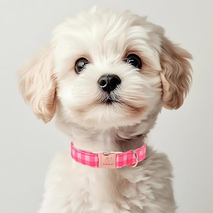 Pink Checkerboard Dog Collar, Classic Girly Plaid Dog Collars, Adjustable Heavy Duty Girl Dogs Collar for Small Medium Large Dogs with Metal Buckle XS