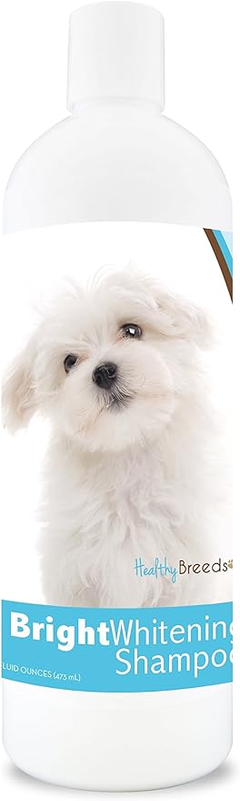 Healthy Breeds Maltese Bright Whitening Shampoo 12 oz, Pina Colada