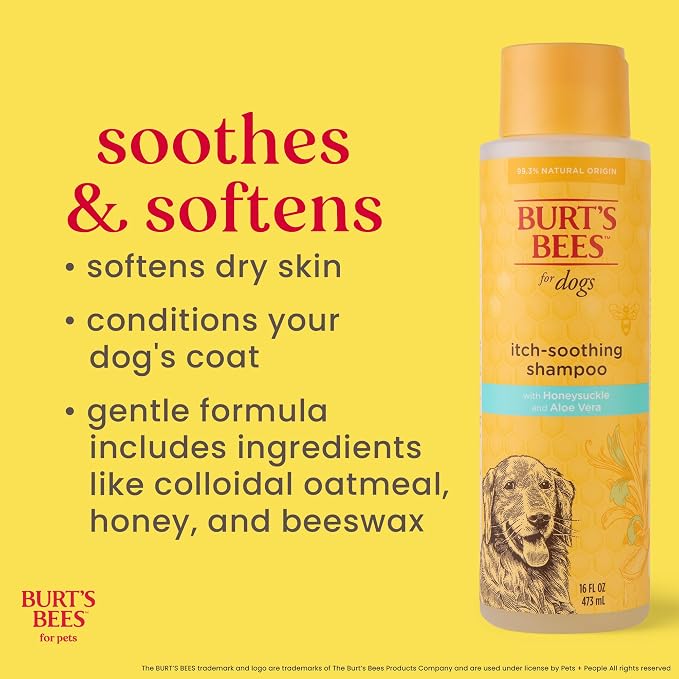 Burt's Bees for Pets Itch Soothing Dog Shampoo with Honeysuckle and Conditioning Honey pH Balanced No Sulfates No Parabens 95 Percent Natural Origin Cruelty Free Made in USA 16 FL OZ 6 Pack