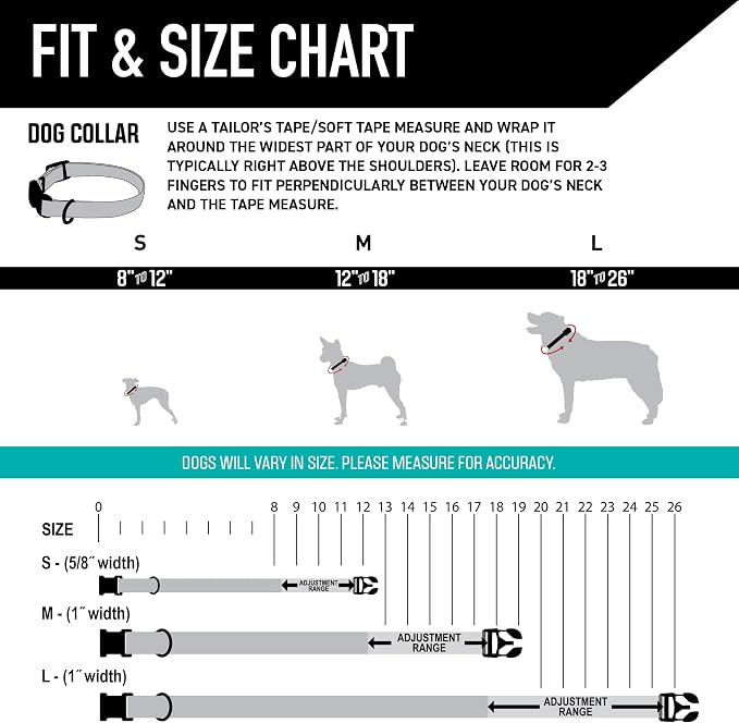 Wolfgang Heavy Duty, Adjustable Dog Collar with Quick Release Nylon Buckle for Walking & Training, LosMuertos Print, Medium