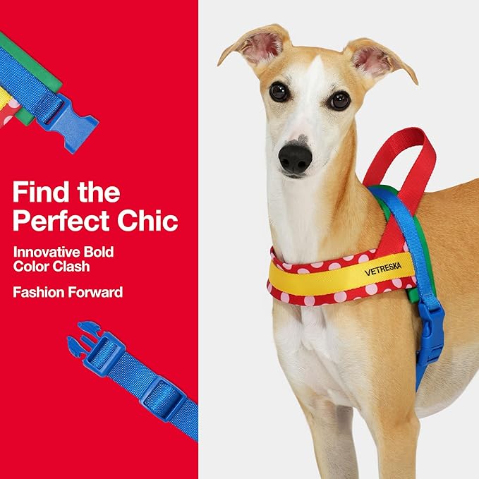 VETRESKA MoMA Dog Harness and Leash Set, Easy Walk Dog Harness for Small Medium Dogs, No Pull Puppy Harness for Walking and Training, Adjustable, Take Control & Anti-Twist Pet Lead Combo(Red, XS)
