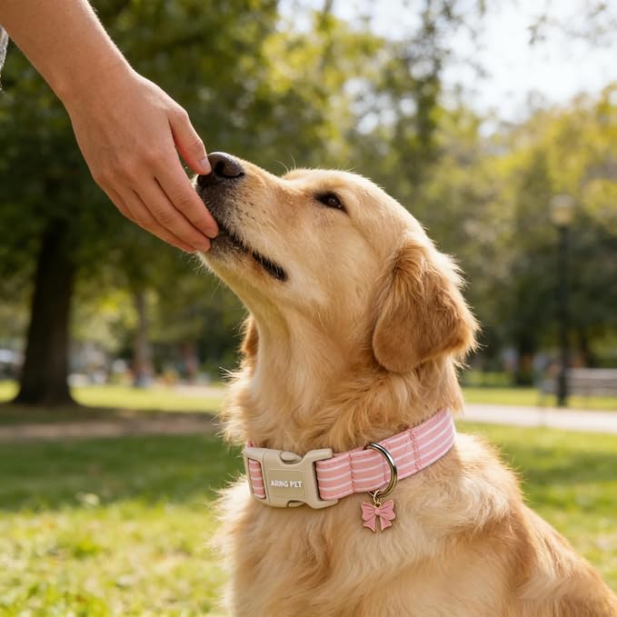 ARING PET Stripe Dog Collar, Cute Spring Summer Pink Stripe Pet Collars with Bow Charm for Puppy Small Medium Large Female Girl Dogs-M, for Daily Outdoor Walking Training