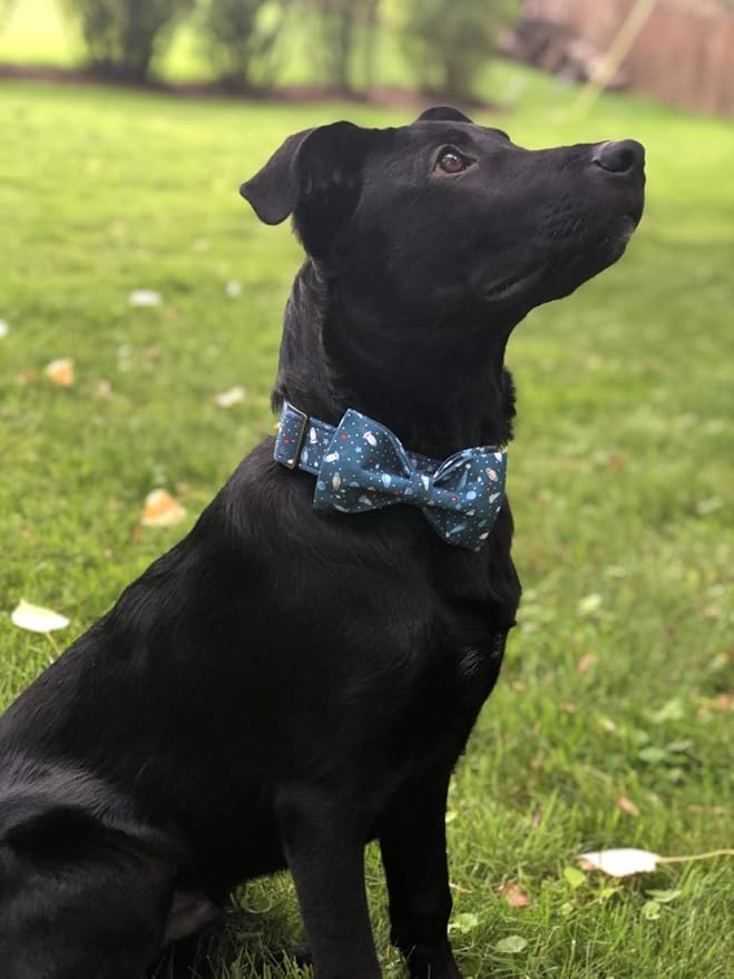 Elegant little tail Dog Collar with Bow, Cotton & Webbing, Bowtie Dog Collar, Adjustable Dog Collars for Small Medium Large Dogs and Cats