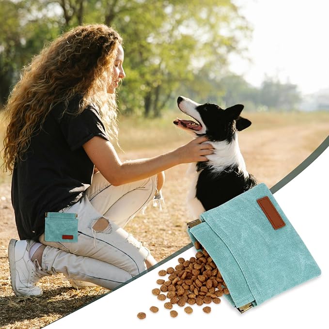 1 Pcs Pocket Pet Training Pouch,Dog Treat Pouch for Portable Pet Dog Walking Bag for Travel or Outdoor Use (Cyan)
