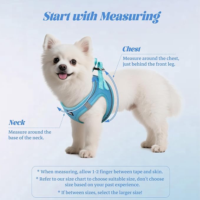 YIMEIS Dog Harness and Leash Set, No Pull Soft Mesh Pet Harness, Reflective Adjustable Puppy Vest for Small Medium Large Dogs, Cats (Sky Blue, Small (Pack of 1)
