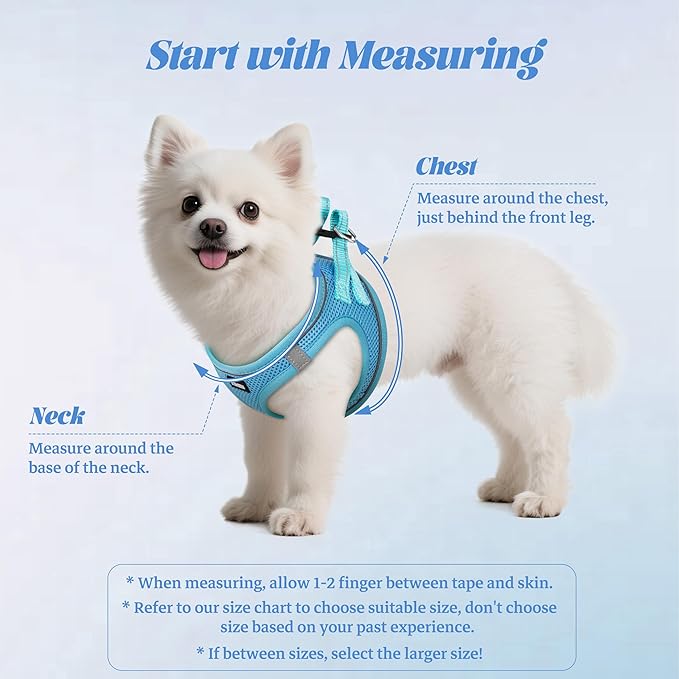 YIMEIS Dog Harness and Leash Set, No Pull Soft Mesh Pet Harness, Reflective Adjustable Puppy Vest for Small Medium Large Dogs, Cats (Sky Blue, Medium (Pack of 1)