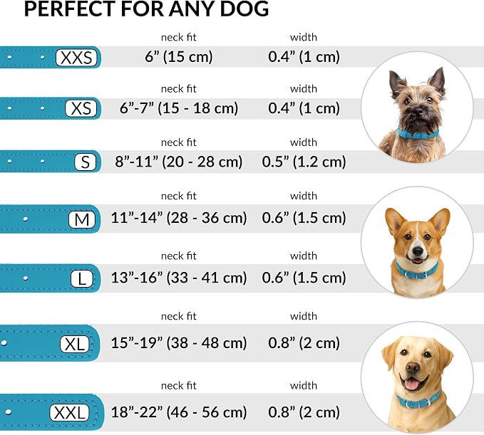 CollarDirect Rolled Leather Dog Collar, Soft Padded Round Puppy Collar, Handmade Genuine Leather Collar Dog Small Large Cat Collars 13 Colors (18-22 Inch, Light Blue Smooth)