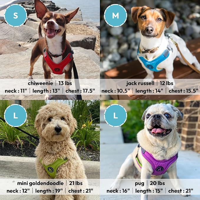 Gooby Escape Free Memory Foam Harness - Purple, Small - No Pull Step-in Dog Harness with Four Point Adjustment for Small to Medium Dogs