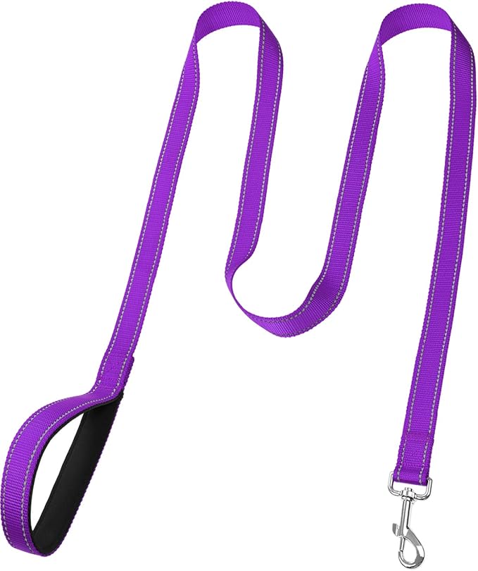 FunTags 6FT Purple Reflective Dog Leash for Large & Medium Dogs Walking, Soft Padded Handle Comfortable Grip, Heavy Duty Nylon, Reflective for Night Walking, 1in Wide
