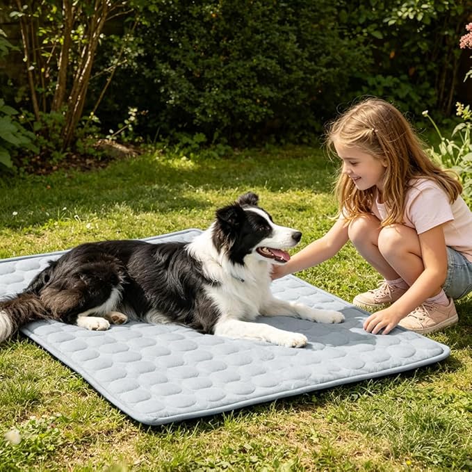 Dog Cooling Mat 2026 Upgraded Arc-Chill Cooling Dog Bed Mat, Washable Pet Cooling Pad (Q-Max>0.4) Cooling Mat for Dogs & Cats Indoor & Outdoor Car Seats (Grey, 28x22 in)