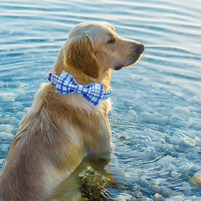 Elegant little tail Dog Collar, Blue Plaid Dog Collar Bow Boy Pet Collar with Metal Buckle Pet Dog Bows Soft Adjustable Dog Collar for Large Dogs