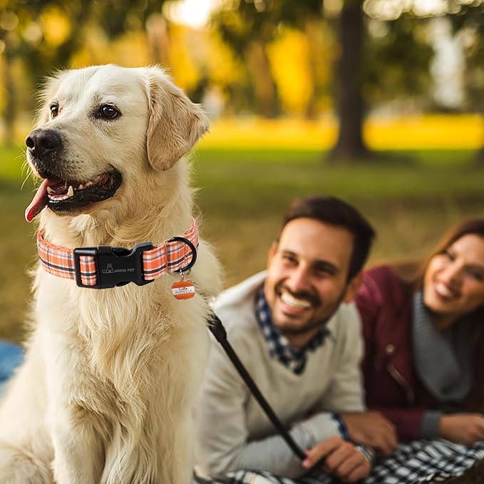 ARING PET Puppy Fall Dog Collar, Autumn Orange Black White Plaid Pet Collars for Small Medium Large Girl Boy Dogs Halloween-XS Size