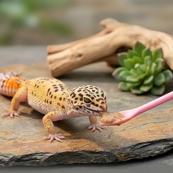 9 Pack Crested Gecko Food Dish & Spoons, Silicone Gecko Feeding Cups Reusable Small Reptile Food and Water Bowl Gecko Tank Accessories for Hermit Crabtortoise Tarantula Lizard, 7 Colors