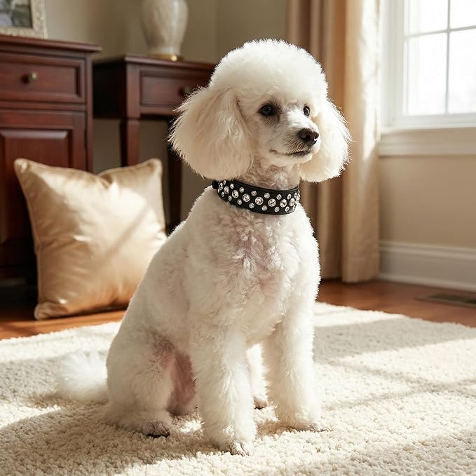 Rhinestone Dog Collar, Bling Rhinestone PU Leather Crystal Diamond Pet Dog Cat Puppy Collar Black S M L XL (S, Hot Pink)