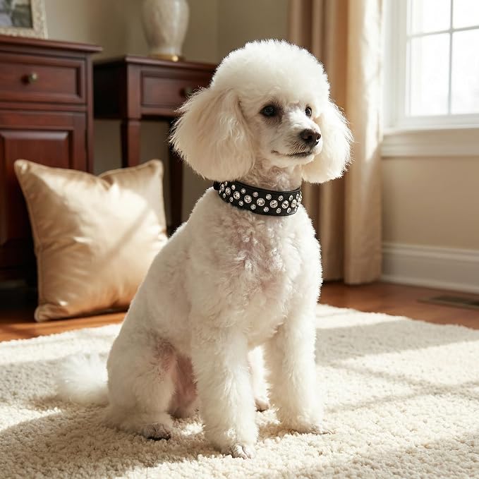 Rhinestone Dog Collar, Bling Rhinestone PU Leather Crystal Diamond Pet Dog Cat Puppy Collar Black S M L XL (L, Purple)