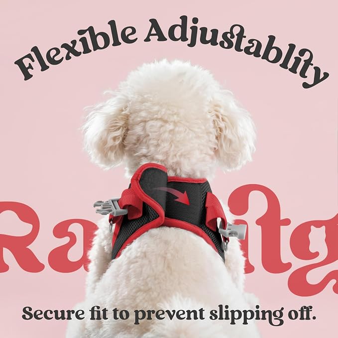 rabbitgoo Dog Harness Small Sized and Leash Set, Step-in Breathable Pet Harness, Soft Walking Reflective Puppy Vest for Small Dogs, Black & Red, M