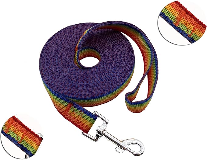 Nylon Training Dog Leash for Small Medium Large Dogs, 15ft 20ft 30ft 50ft Long Leash Dog/Puppy Lead for Obedience Recall Training, Camping (1" x 30ft, Rainbow)
