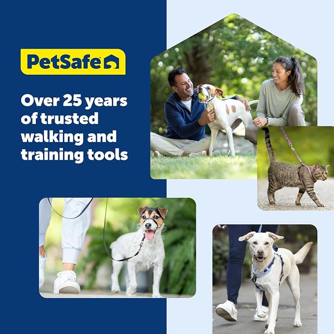 PetSafe Easy Walk Deluxe Dog Harness, No Pull Dog Harness Perfect for Leash & Harness Training Stops Pets from Pulling and Choking on Walks Small, Ocean