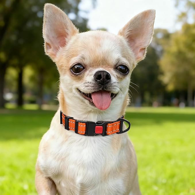 Taglory Reflective Dog Collar for Puppies with Escape-Proof Locking Buckle, Soft Neoprene Padded and Upgraded Zinc Alloy Ring, Adjustable for Chihuahua Yorkie, Orange,XS