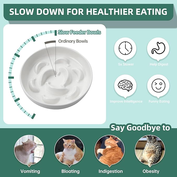 Cat Slow Feeder Bowl Set - 2-Pack Ceramic Cat Dishes for Slow Eating - Whisker-Friendly Cute Maze Bowls for Dry & Wet Food - Microwave & Dishwasher Safe - White and Pink