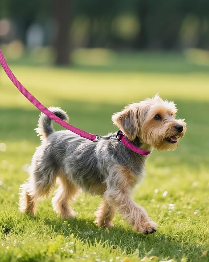 Joytale Small Dog Collar, Durable Double-Sided Reflective Nylon Collar for Night Safety, Adjustable Quick-Release for Active Breeds, Hotpink, S (3/4" Width)