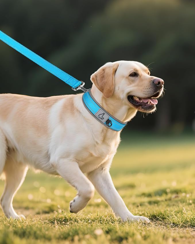 Joytale Dog Collar for Large Dogs, Neoprene Padded and Adjustable, Reflective Wide Heavy Duty Pet Collars with Durable Metal Belt Buckle for Walking, Sky Blue, L